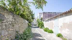 Eine enge Kopfsteinpflasterstraße, begrenzt von Steinmauern und üppigem Grün.