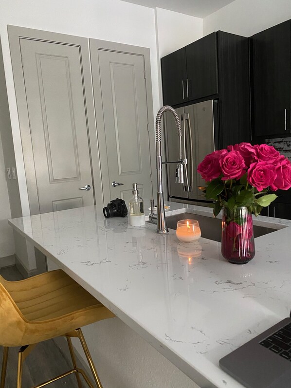 Interior - Minimalistic and Luxe 1 bedroom in The Heights near Downtown Houston (Houston)