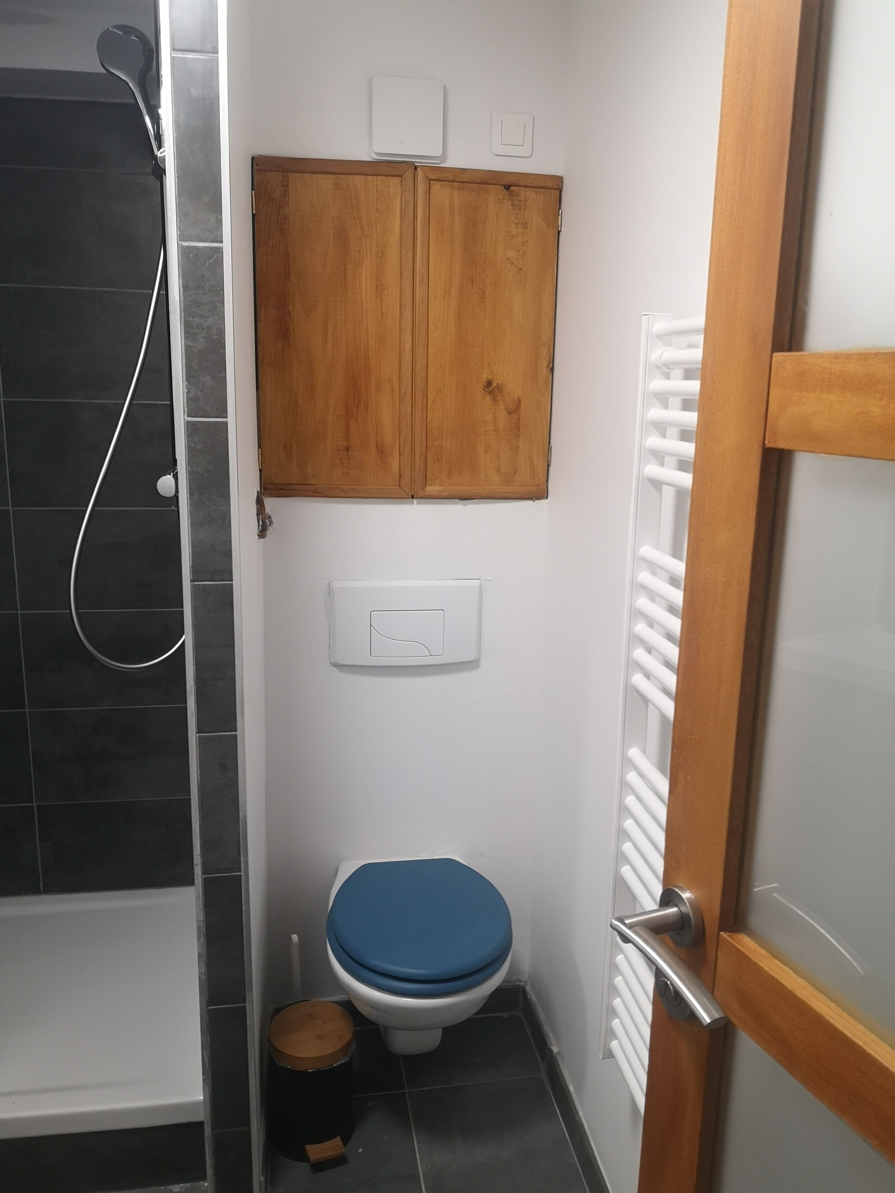 A bathroom with a shower, a toilet, a wooden cabinet, and a radiator.