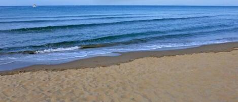 Playa