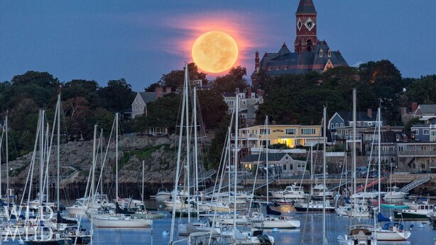 Un puerto con varios veleros amarrados, una imponente torre del reloj y la luna llena al fondo.