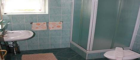 Une salle de bain avec un lavabo, des toilettes et une douche.