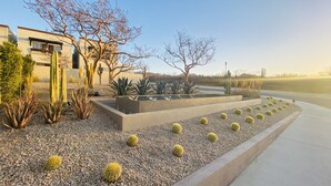 A landscaped garden with various cacti and succulents, a concrete planter with plants, and a building in the background. - HOUSE OF THE SEA, fraction. private with pool, by car 7 minutes from the beach and downtown (Cabo San Lucas)
