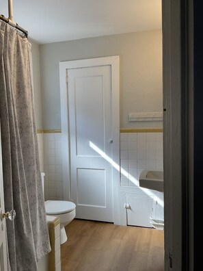 Combined shower/bathtub