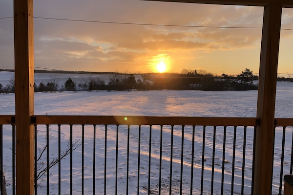 Área da propriedade