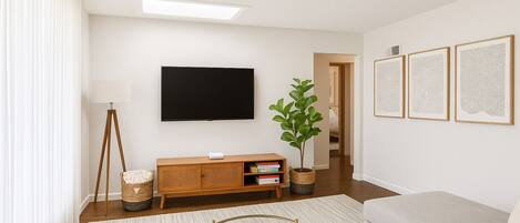 TV, Netflix, streaming services