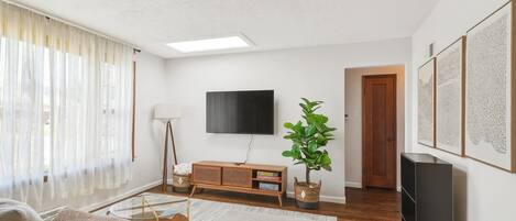 TV, Netflix, streaming services