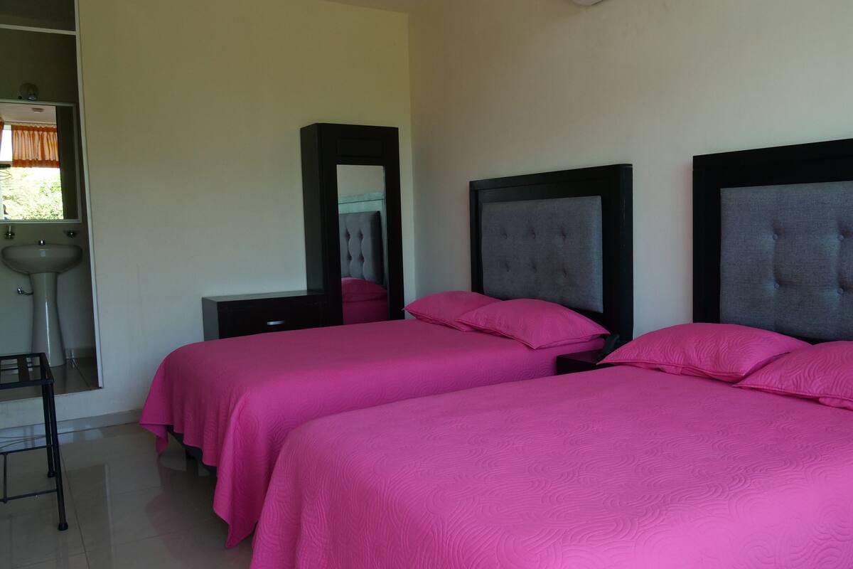 A hotel room with two beds, each with a grey headboard and pink bedding.