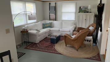 TV, fireplace, books