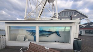 A wooden bench in front of a building with large windows displaying shark murals. - Sunset Beach Bliss| Walk to Beach & Waterpark (Ocean City)