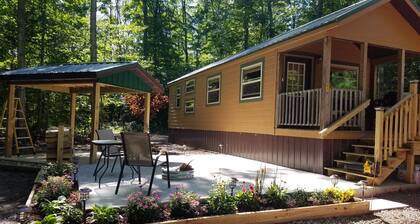 Petoskey - Quaint Cabin in a secluded wooded setting.