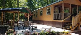 Petoskey - Quaint Cabin in a secluded wooded setting.