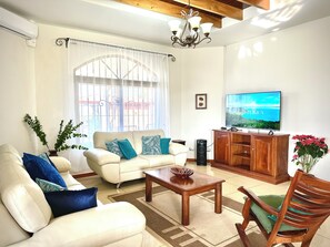 Smart TV, fireplace, video games, books