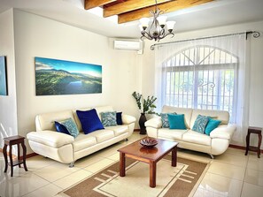 Smart TV, fireplace, video games, books