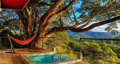 Bella Vista Private Resort, Weddings, Pickleball retreats,10 bedrooms Sleeps 28,