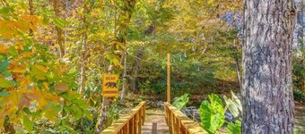 Creekside with views - jacuzzi, firepit, arcade