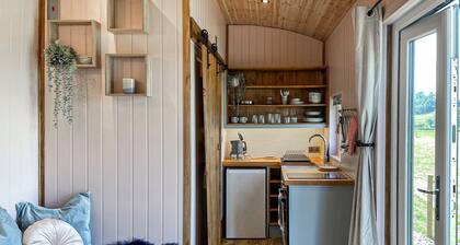 Forget-Me-Not - UK37646