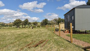A rural property with a large grey metal building, a fenced area with a barbecue, and sheep grazing in the background.