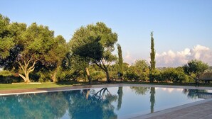 Piscina límpida com um deck revestido de azulejos, rodeada por árvores e um banco.