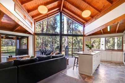 Manna Gum - Base of Buller