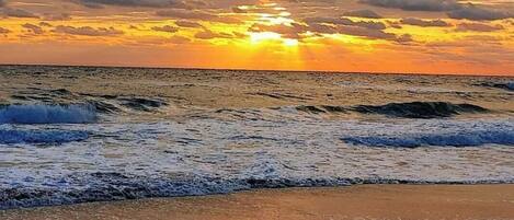Plage à proximité, chaises longues, serviettes de plage