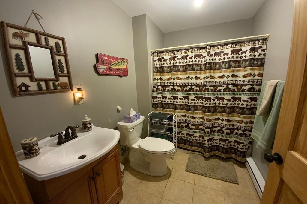 Newly Built Adirondack Cottage with Lake Views!