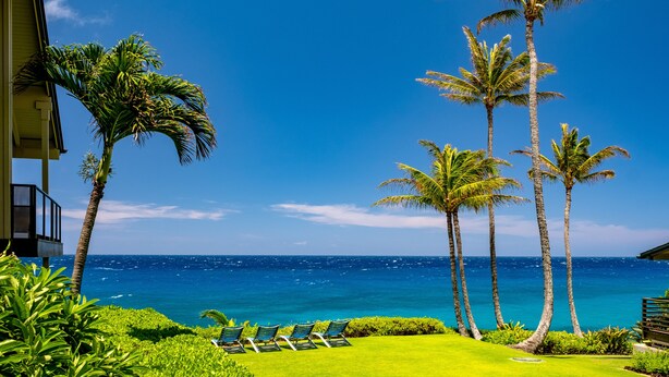 A beachfront property with a lawn, palm trees, and a view of the ocean. - BEAUTIFUL BREATH-TAKING Ocean Views w/ AC, Upscale Furnishing, & Art. (KOLOA)