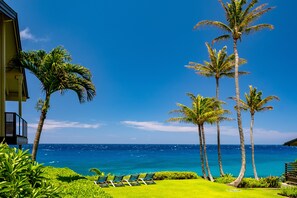 A beachfront property with a lawn, palm trees, and a view of the ocean. - BEAUTIFUL BREATH-TAKING Ocean Views w/ AC, Upscale Furnishing, & Art. (KOLOA)