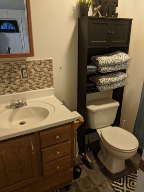 Shower, hair dryer, towels, soap - 2nd story in-law w/ private entrance, specialty bed, cable, 2 tv's.Full kitchen (Rochester)