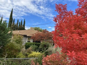 Unclassified image, 5 of 26, button