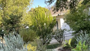 A garden path with various plants and a fence in the background. - Downtown Eclectic Bungalow (Oakdale)