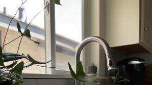 A kitchen with a white countertop, a stainless steel faucet, and potted plants. - Downtown Eclectic Bungalow (Oakdale)