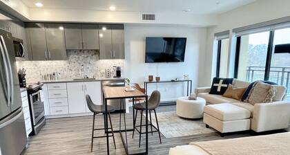LUXE DOWNTOWN w/ VIEW • in-unit W/D • Work from Home • King Bed • Gigabit WiFi