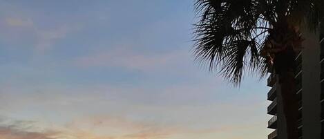 A resort pool area with a view of the sunset over the ocean, palm trees, and a gazebo.