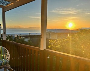Property grounds - The Lazy Fig - Ocean Views, Orchard & Pizza Oven (Primrose Sands)