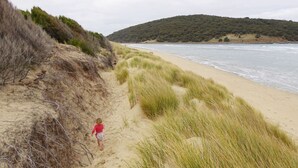 A beach with sand dunes and a child walking along the path. - Beachside Family Surf Retreat (Carlton)