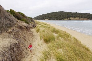 Playa en los alrededores 