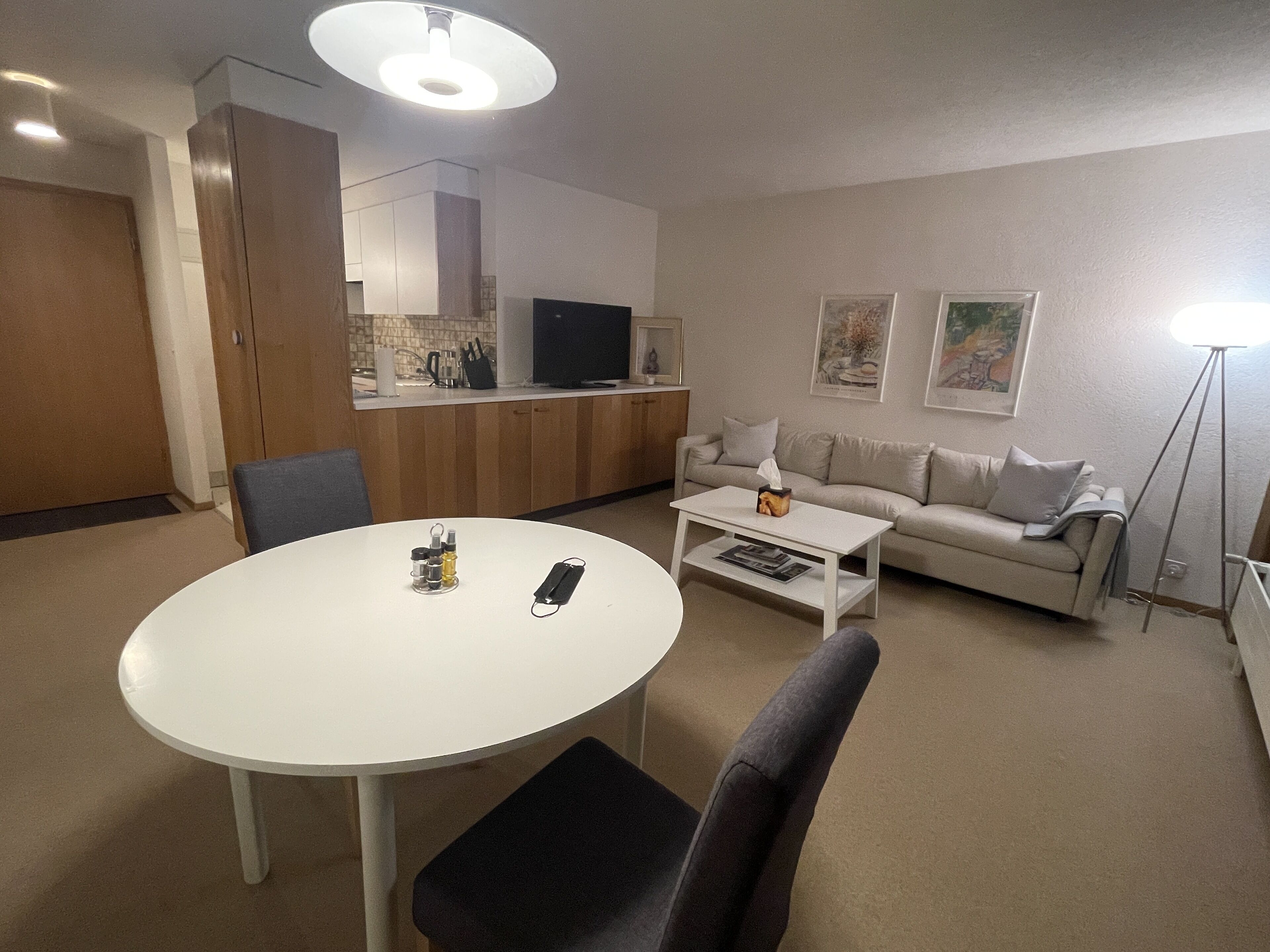 Cozy Swiss Mountain 1 BDRM Apartment - 10 minutes from Lake Geneva