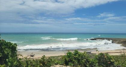Peaceful Getaway Apartment! 10 minutes from Beach!