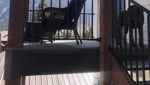 A wooden deck with a metal railing, a chair, and a dog. - The White House- Suite B Upstairs (Silverton)