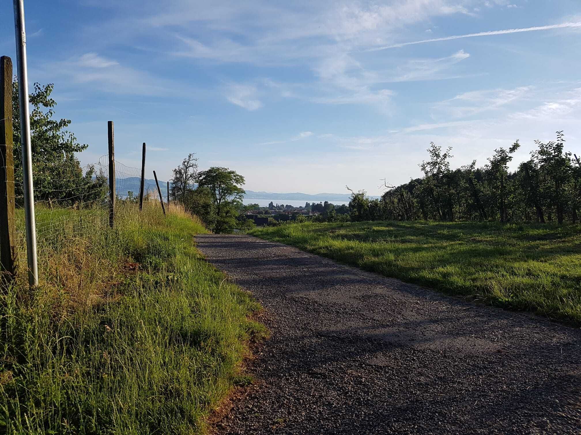 A gravel path in a rural area with a fence on one side and trees on the other.