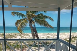 A beach view from a covered area with a palm tree and clear blue water.