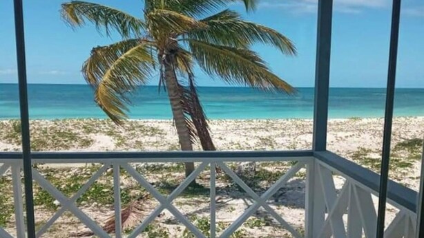 Vista sulla spiaggia da una zona riparata, con una palma e acqua cristallina.