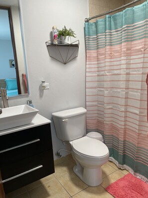 Combined shower/bathtub, hair dryer, towels, soap