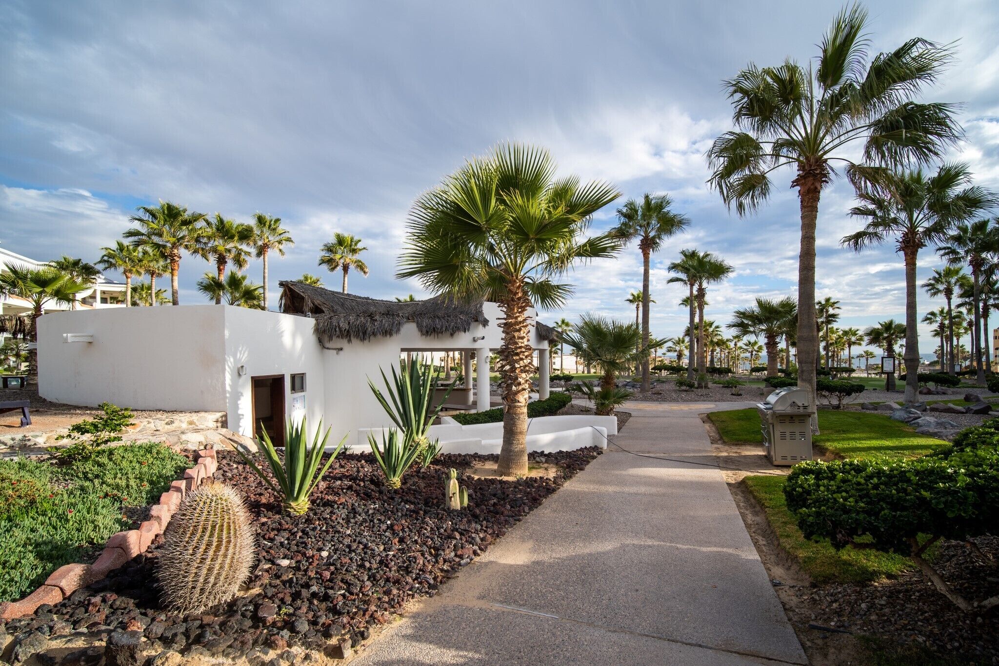 Un chemin mène à un bâtiment blanc doté d’un toit de chaume, entouré de palmiers et d’un cactus.