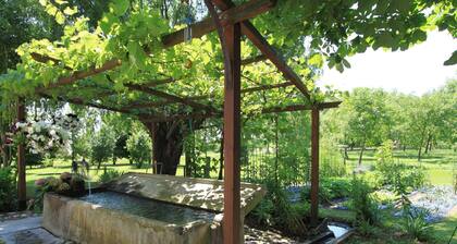 Ancienne ferme vénitienne typique "casa Cervade", originale conservée de 1902