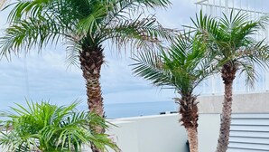 Two tall palm trees and two white planters with green plants on a rooftop terrace. - HolidayRento Bondi Rooftop Pool & Air Con Studio (Bondi)