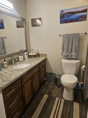Combined shower/bathtub, hair dryer, towels, soap - Private spacious 2-bedroom apartment - pets welcomed (Davis)