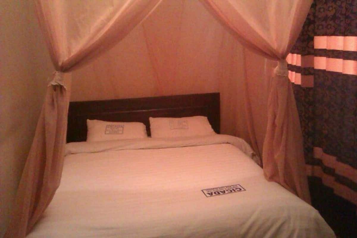 A single bed with a wooden headboard, covered by a canopy with sheer curtains.