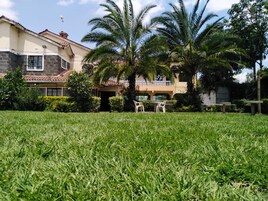 Una casa de dos pisos con un césped cuidado y un área de piscina.